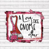 Valentine's Day Gnome Like No Other