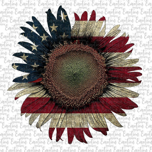 USA Flag Sunflower